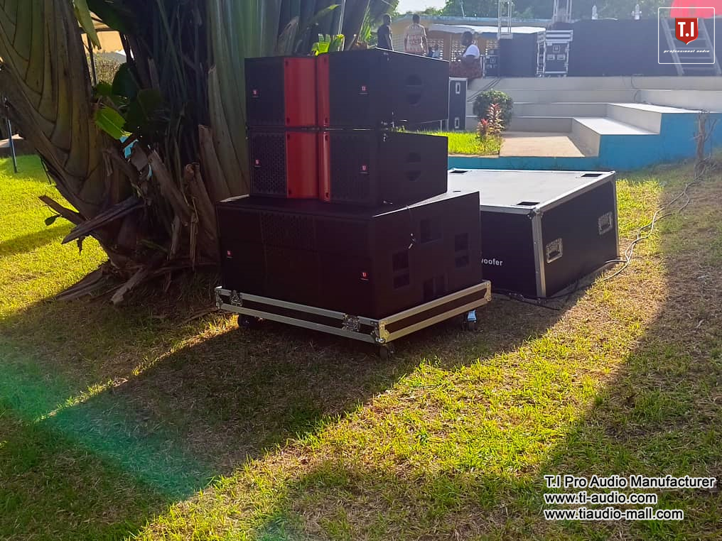 Pro-2123 dual 12 inch line array in events