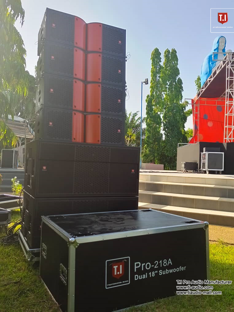 Pro-2123 dual 12 inch line array in events