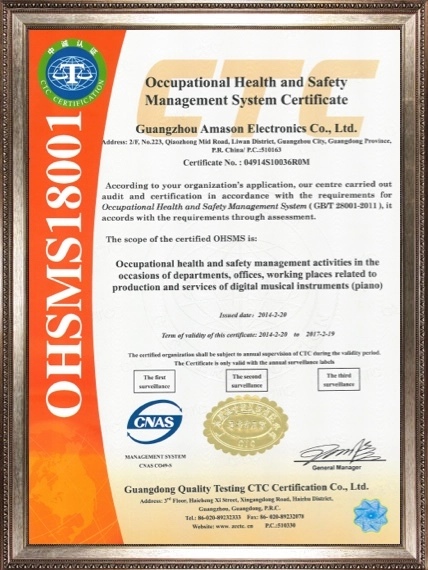 Oceupational Health and SafetyManagement System Certificate