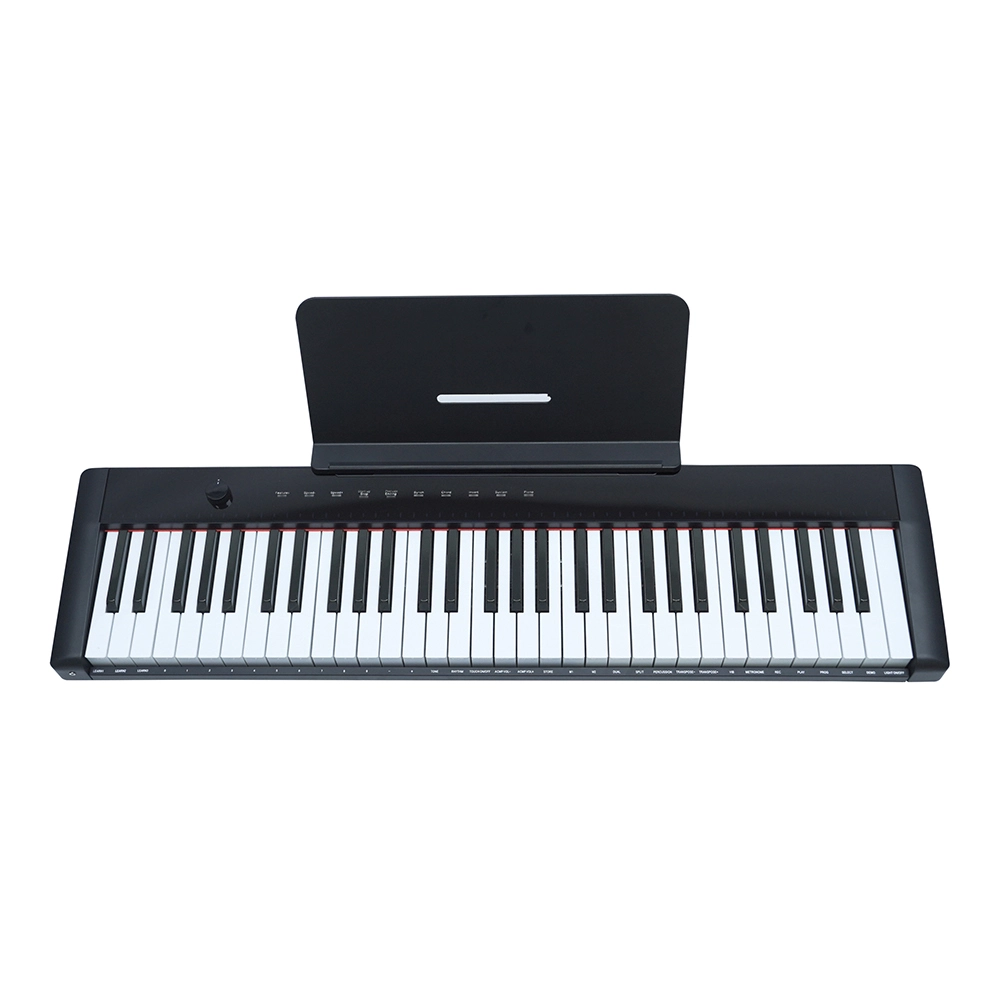 portable electronic keyboard piano