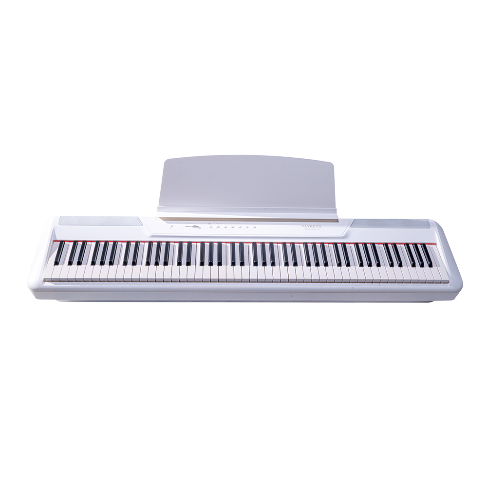 portable keyboards piano