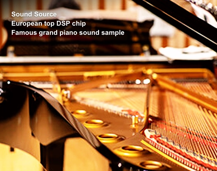 professional-piano professional piano