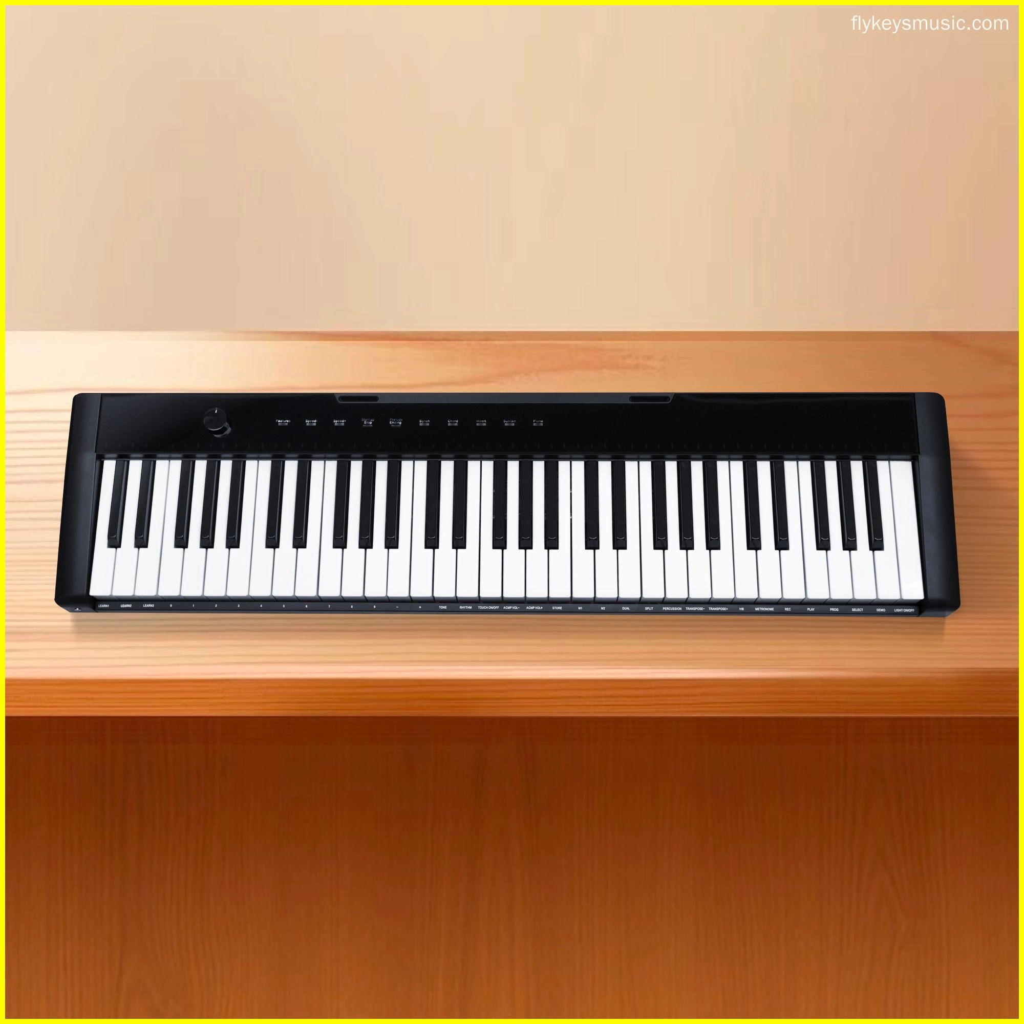 61 keys portable electronic keyboard piano with X stand (M2)