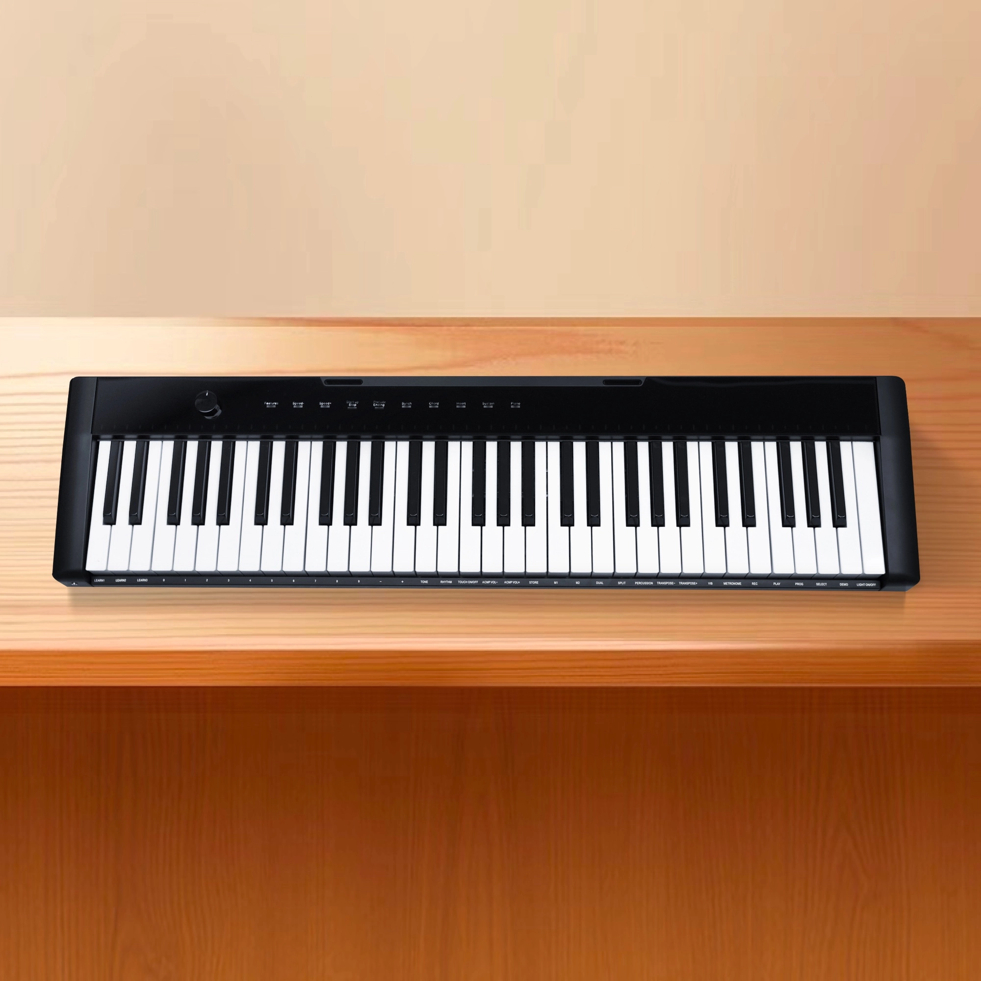 61 keys portable electronic keyboard piano with X stand (M2)