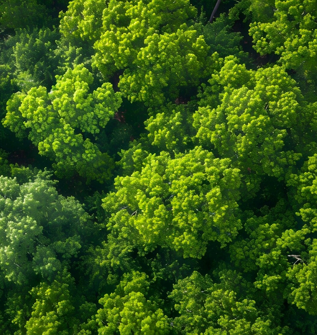 Sustainability-and-ethical-practices Sustainability and ethical practices