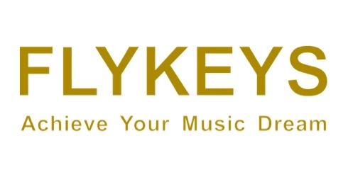 2020 Established a new international brand of digital musical instruments - Flykeys