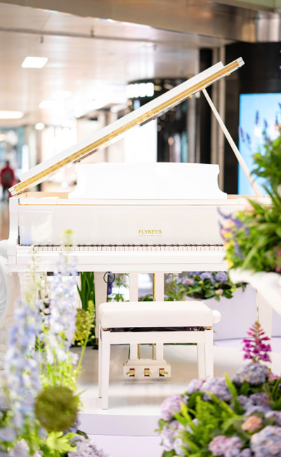 portable electronic keyboard piano