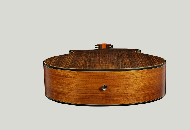classical-guitar-bridge classical guitar bridge