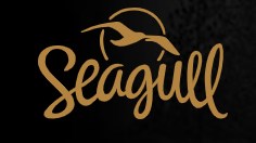 SEAGULL folk guitar supplier