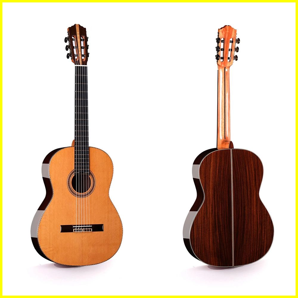 best beginner classical guitar