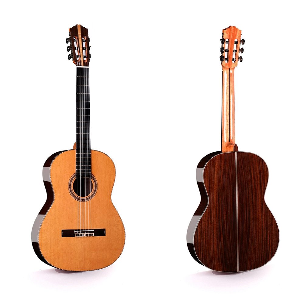 best beginner classical guitar