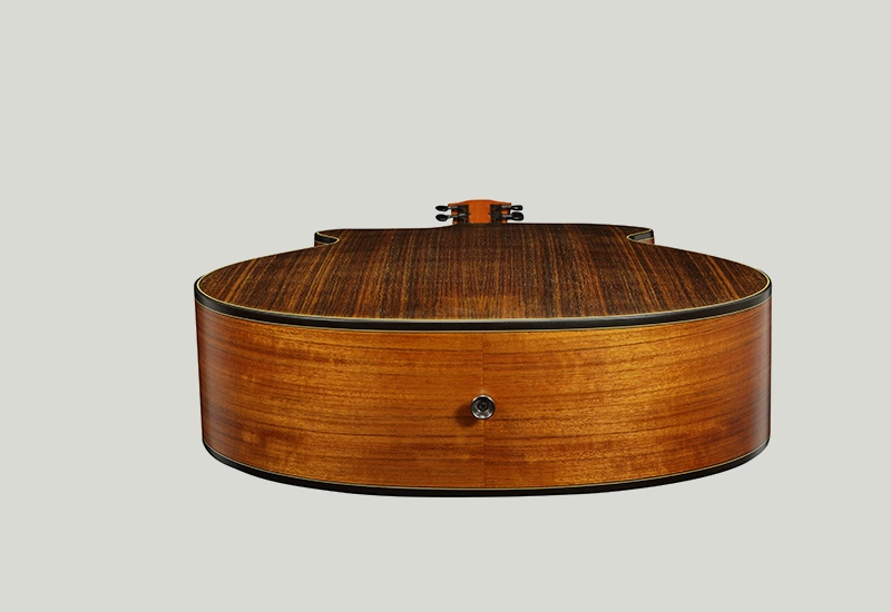 classical-guitar-pickup classical guitar pickup