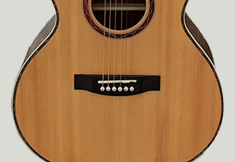 best-electric-guitar best electric guitar