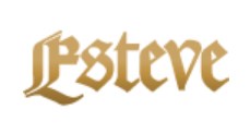 ESTEVE classical guitar supplier