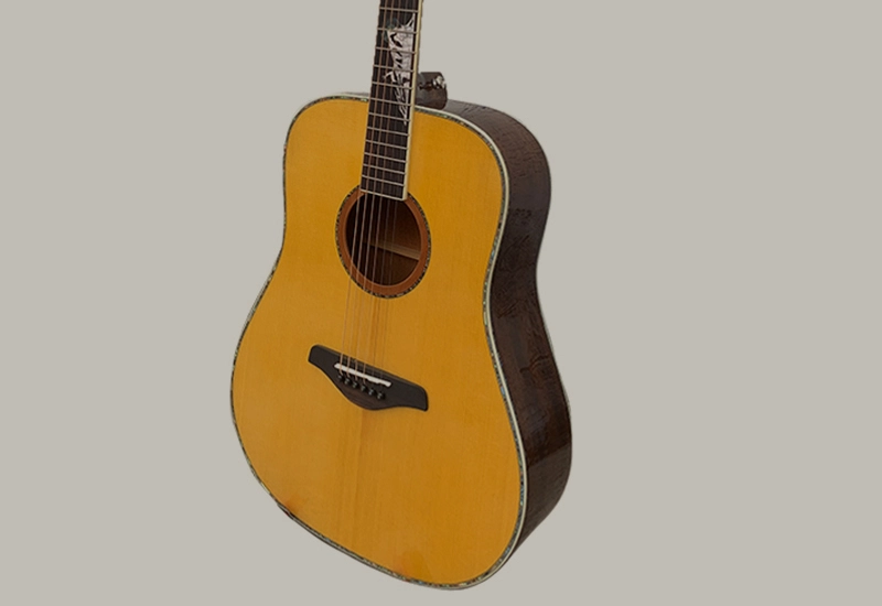 best-folk-guitar-players best folk guitar players