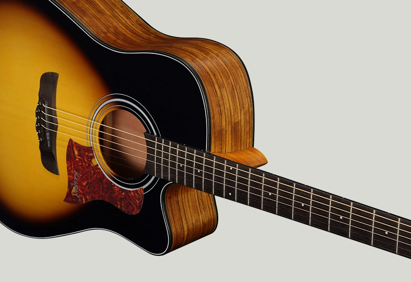 classical-guitar-tuning classical guitar tuning
