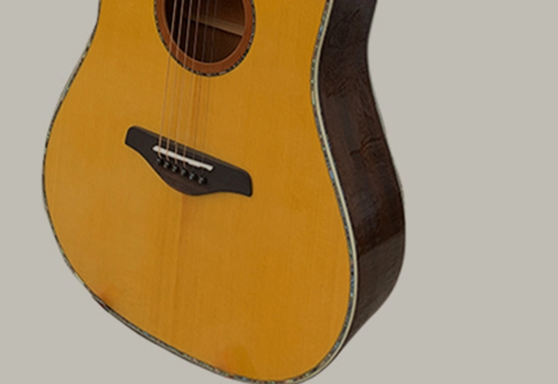 best-folk-guitar-players best folk guitar players