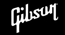 Gibson folk guitar supplier