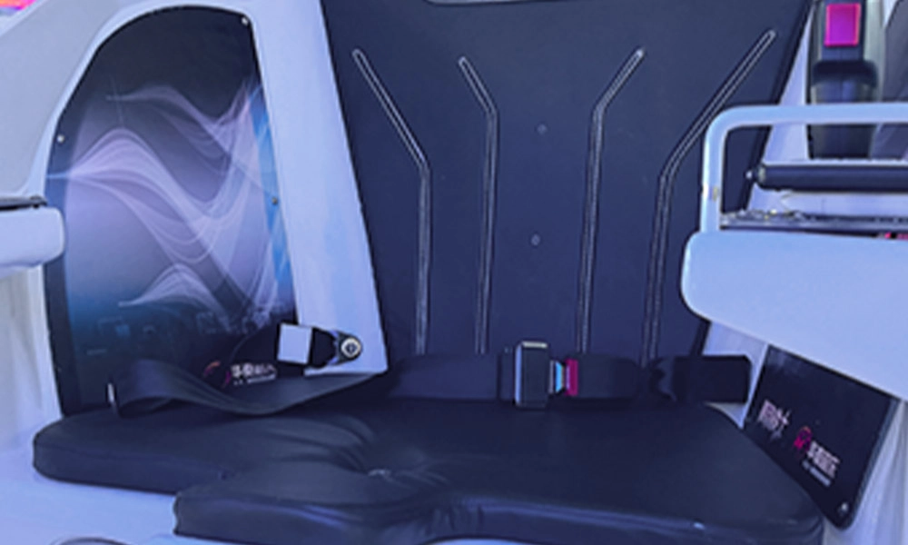 Aviark Warrior details (3) - H.Q.Amusement