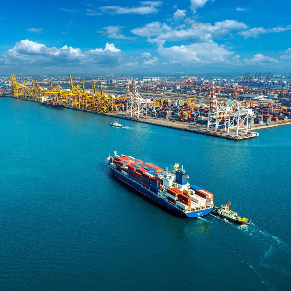 Logistics & Customs Clearance Support - H.Q.Amusement