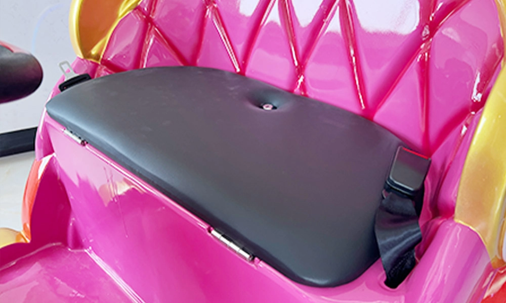 magic princess car details (10) - H.Q.Amusement