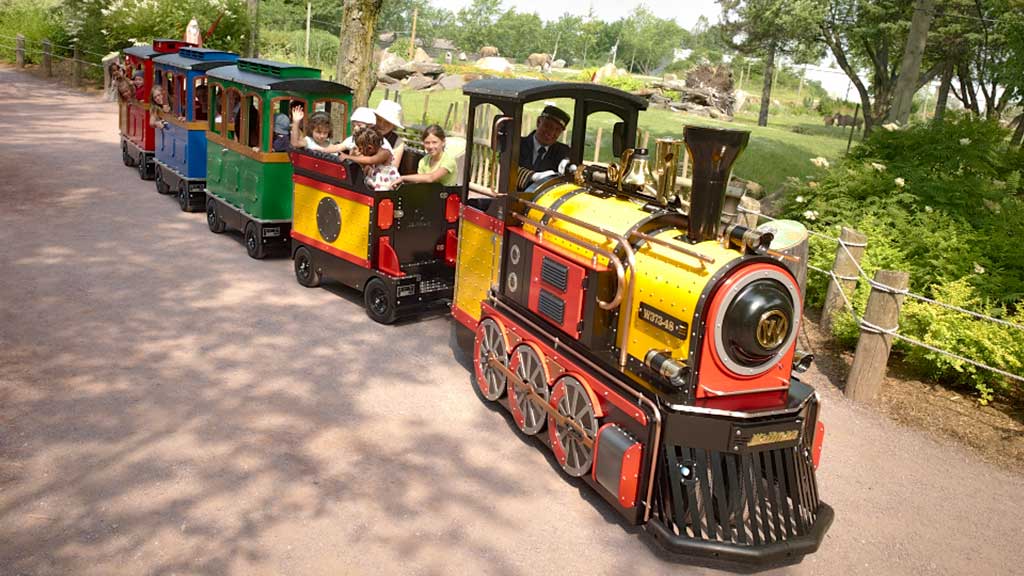mini trackless train for wildlife zoo