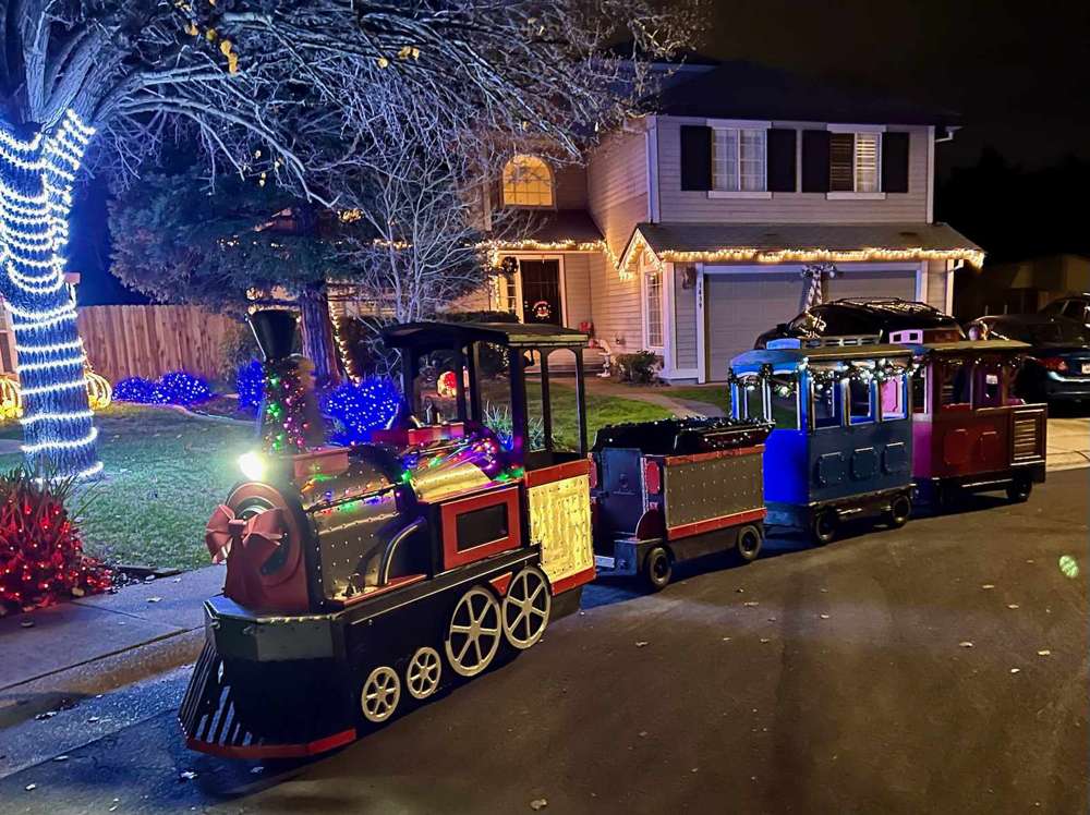 mini train