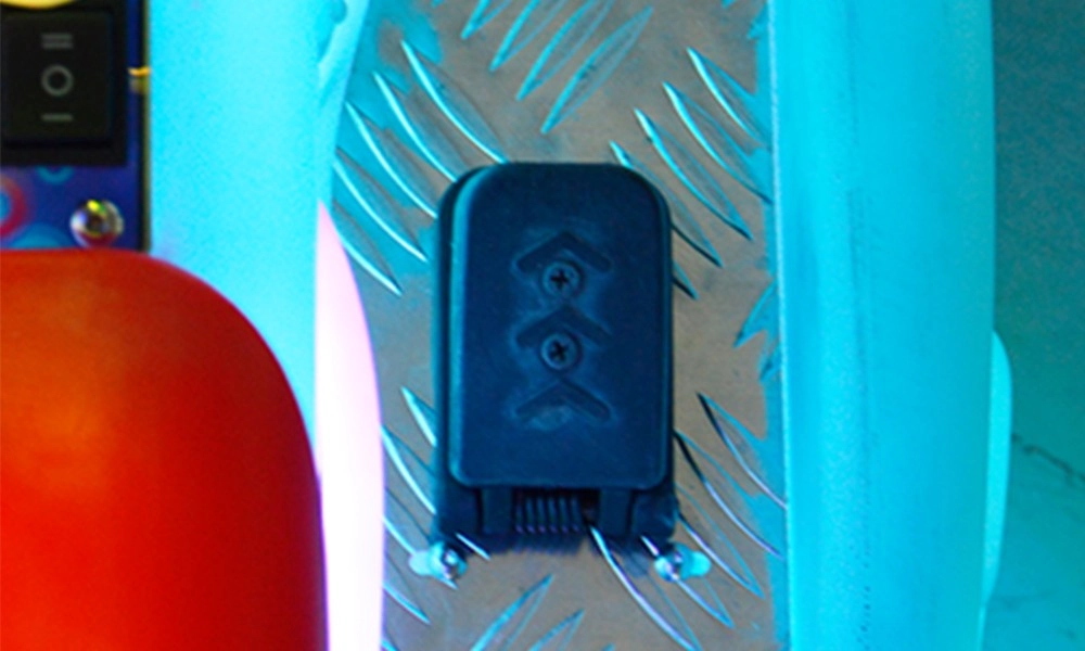 dragon-sea-horse-animal-ride-foot-pedal - H.Q.Amusement dragon sea horse animal ride foot pedal - H.Q.Amusement