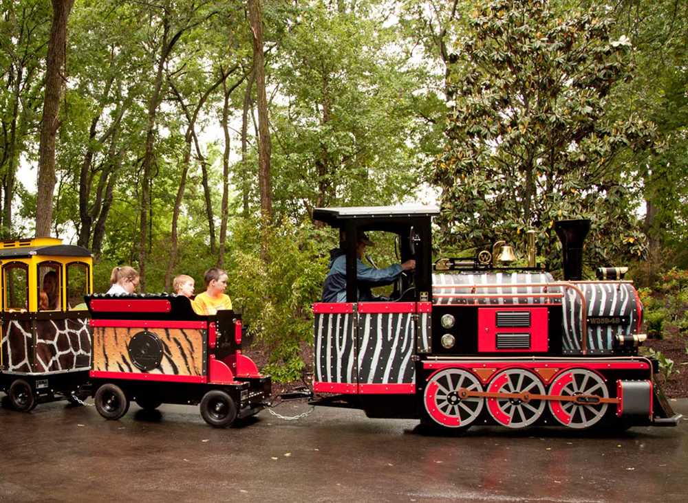 trackless train for zoological park