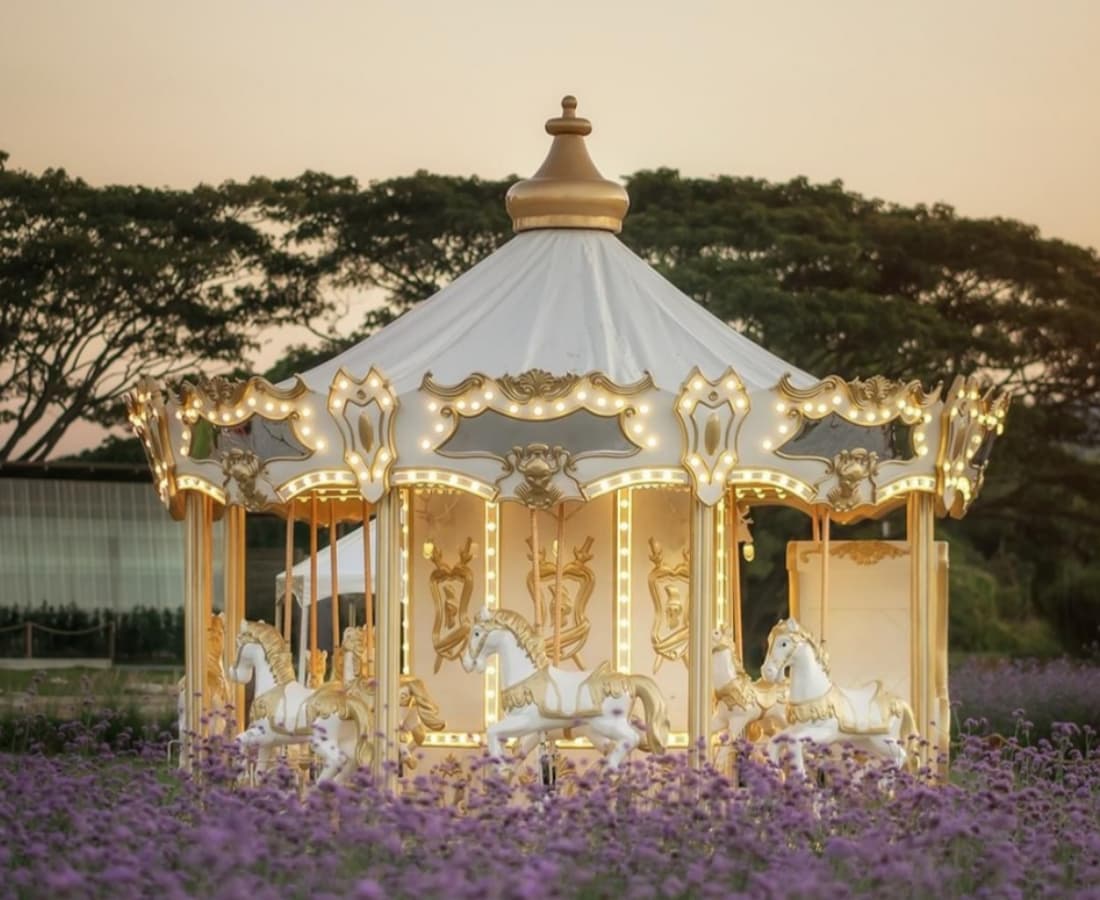 SUNHONG Knight Sparta 12P Carousel bercahaya dengan lampu keemasan dalam bidang bunga ungu