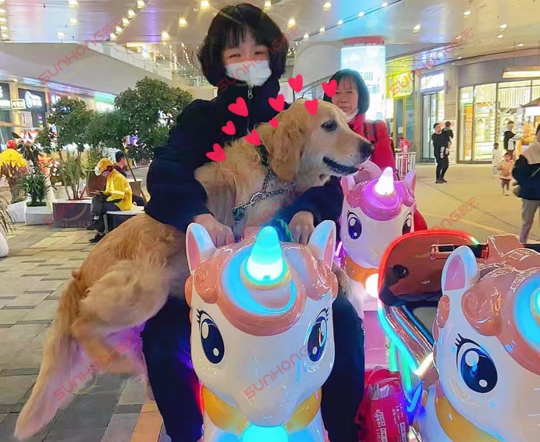 unicorn-kiddie-train-dog-rider-night-scene - SUNHONG Momen lucu seekor golden retriever dan wanita menaiki kereta api kanak-kanak unicorn di luar rumah pada waktu malam, penuh dengan suasana yang menggembirakan. - SUNHONG