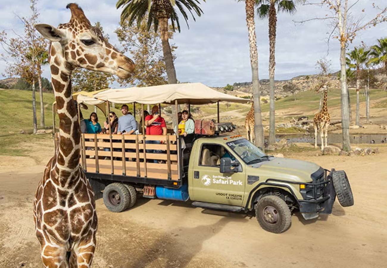 Wildlife Park-San Diego Zoo Safari Park