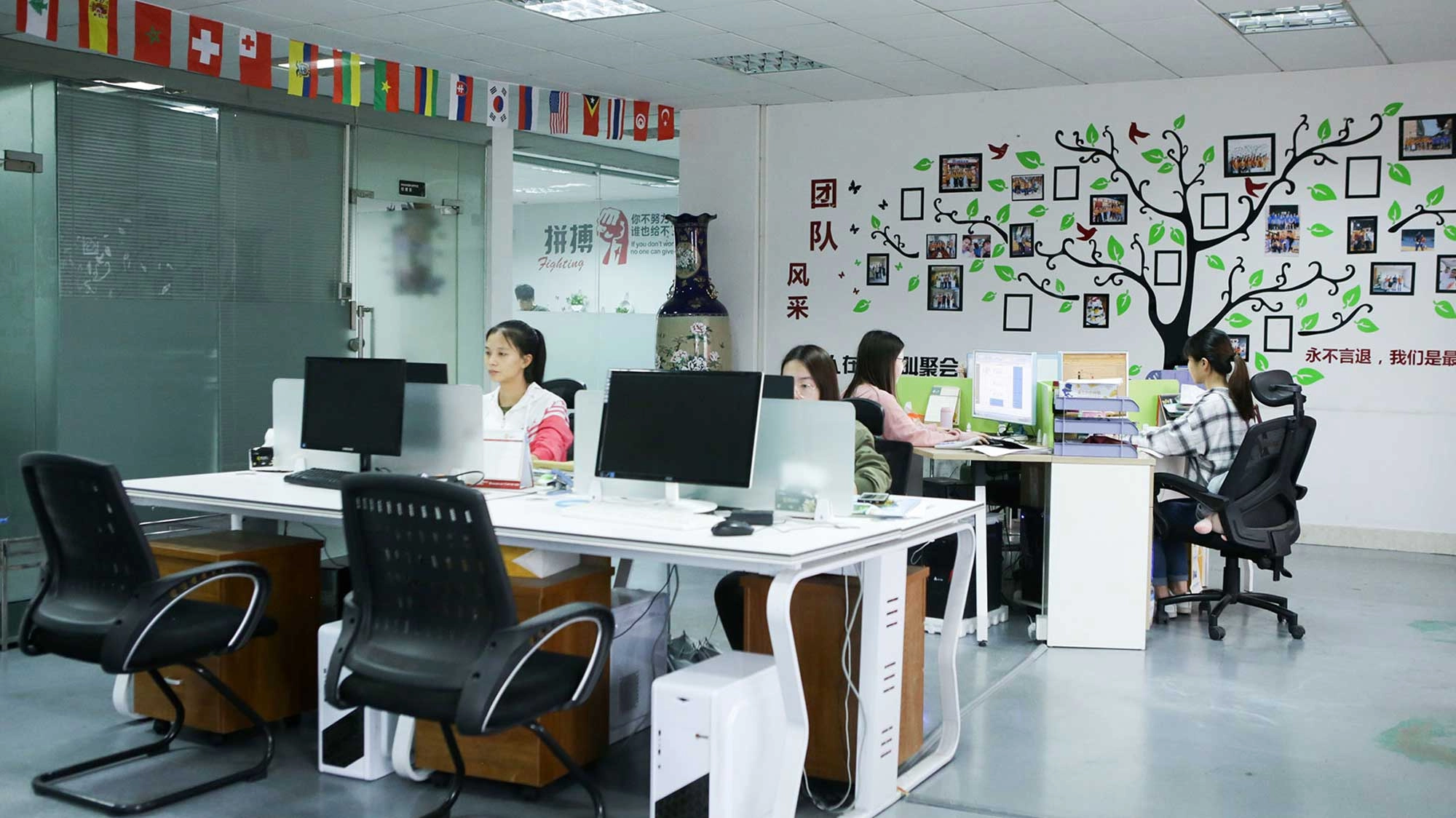 2012--Feifan's-development - FEI FAN