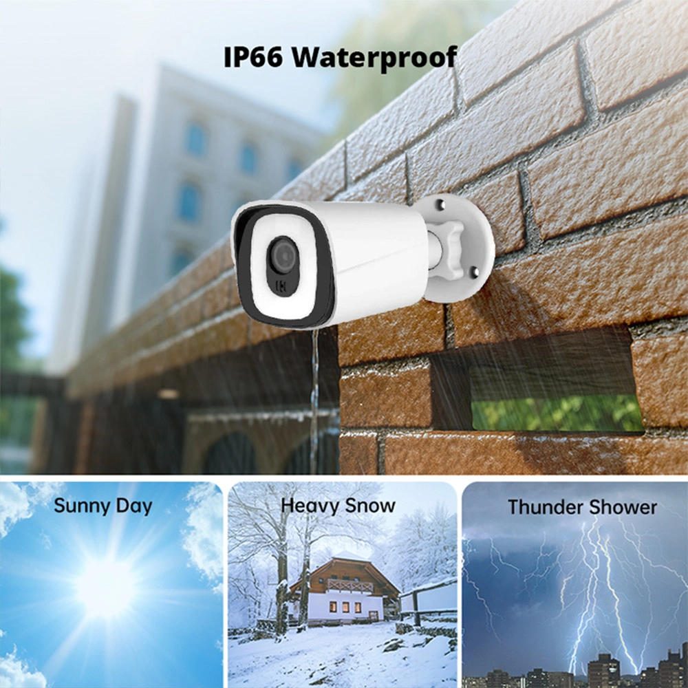 IP66 Waterproof - Innotronik