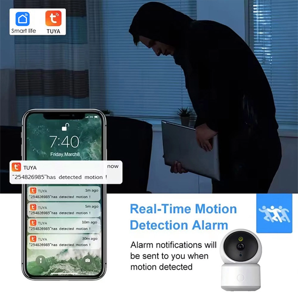 Real-Time Motion Detection Alarm - Innotronik