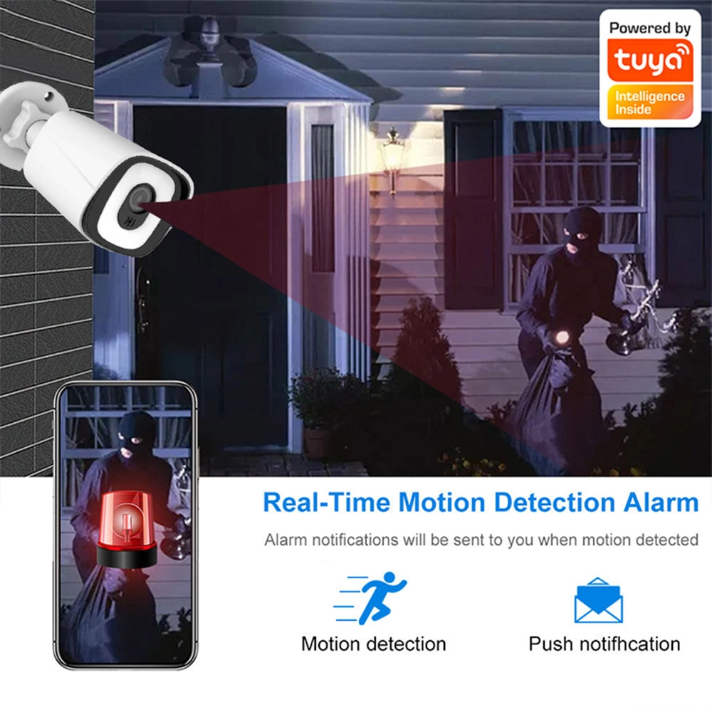 Real-Time Motion Detection Alarm - Innotronik