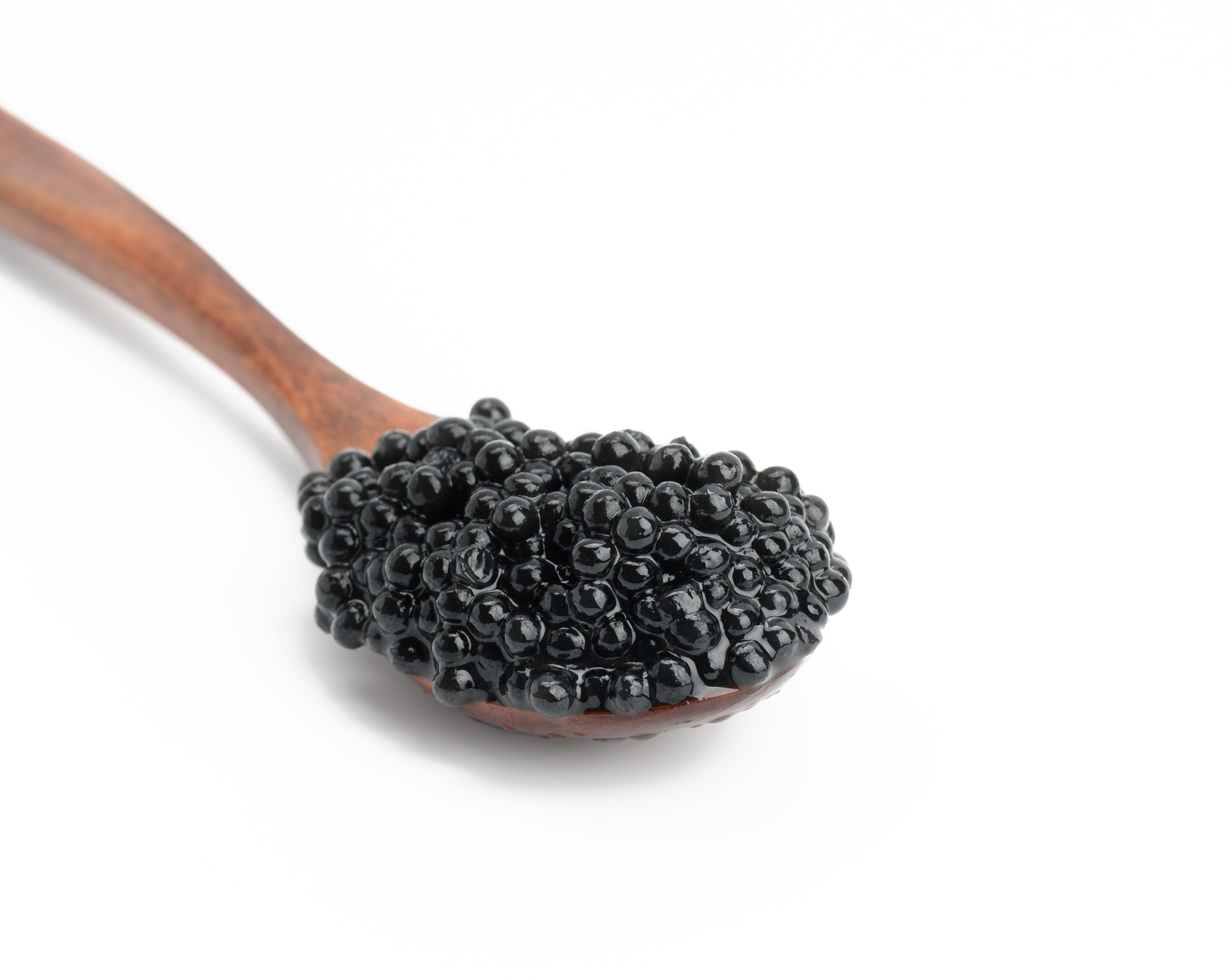 caviar