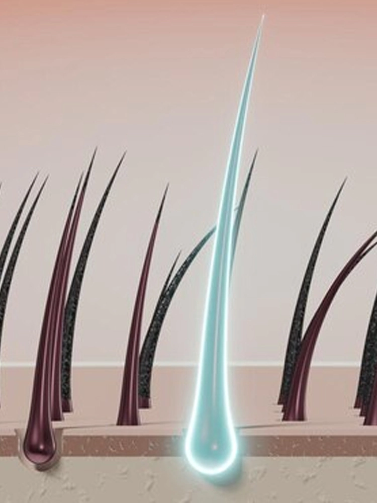 Supports-Hair-Growth Supports Hair Growth