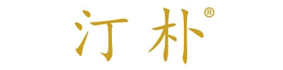 DING PU