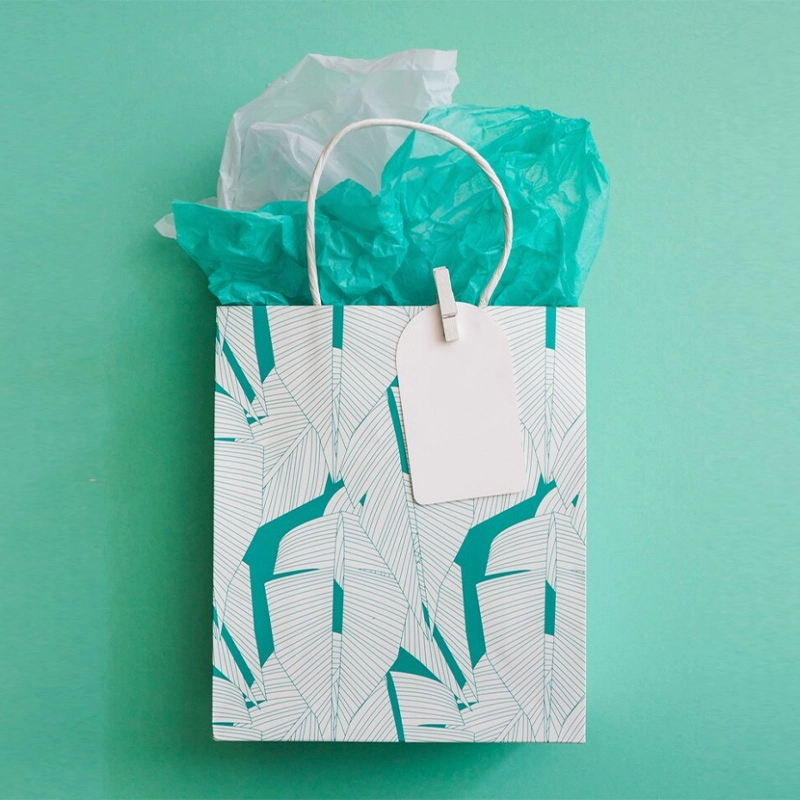 Paper shopping bag