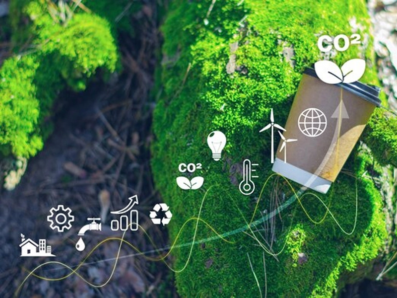 Sustainable Materials and Eco-Friendly Practices