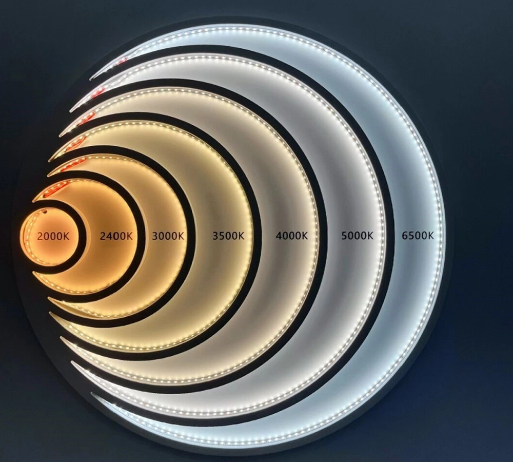 clothes-shop-interior-design-color Clothes shop interior design: Circular display showcasing various LED light color temperatures (2000K-6500K).