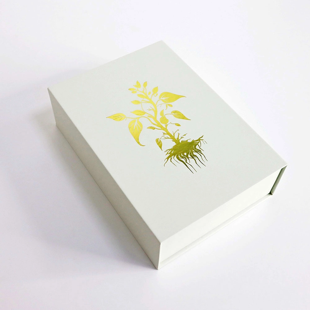 A Magnetic Accessories Box (3) - QianXun