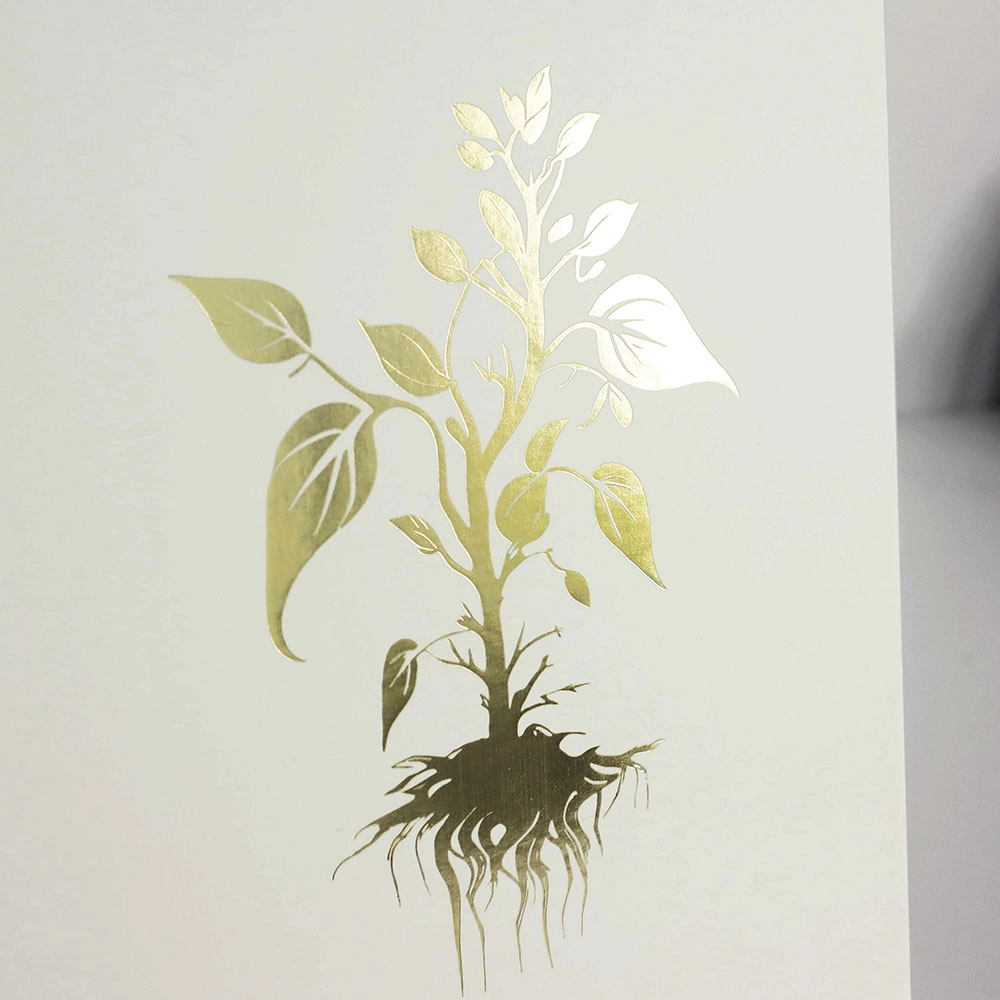 detail (2) - QianXun detail (2) - QianXun