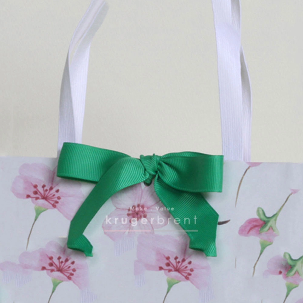 Luxury Shopping and Gift Bag (5) - QianXun