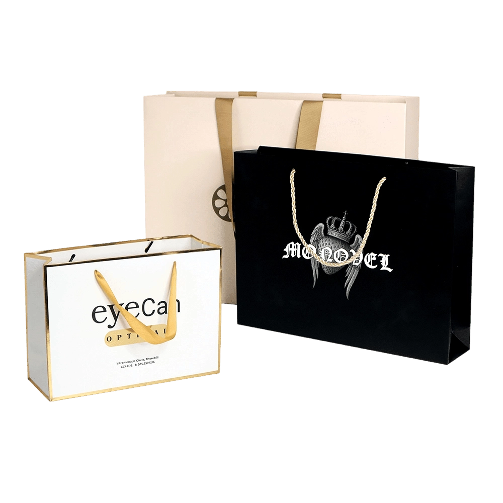 Paper Shopping bag - QianXun