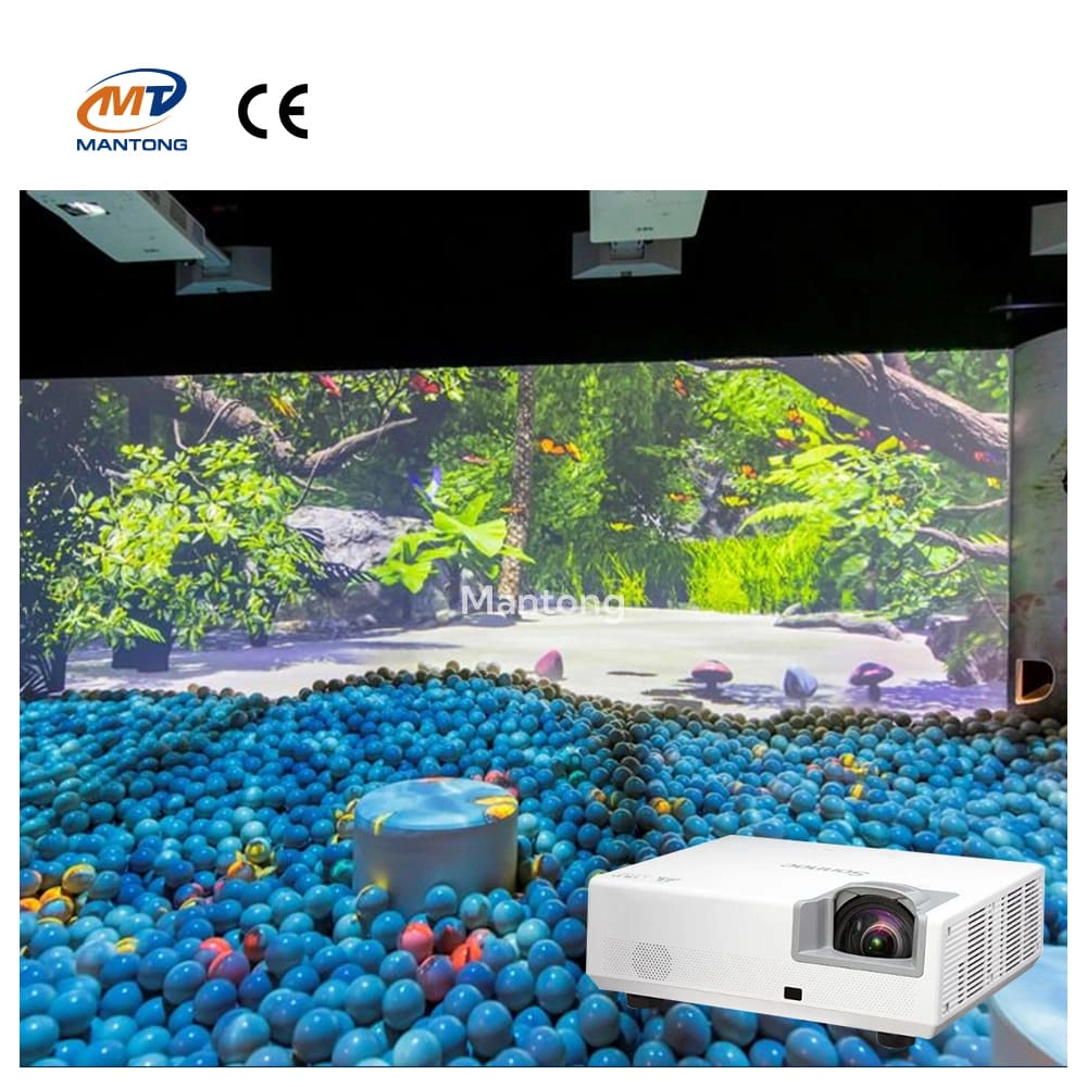 Interactive-Projection-Games Interactive Projection Games