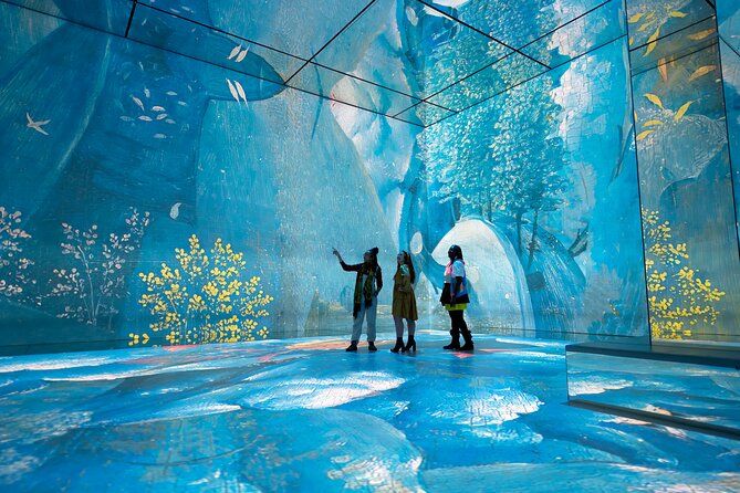 immerisve projection (2)