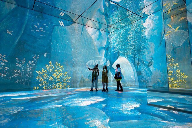 immerisve projection (2) immerisve projection (2)