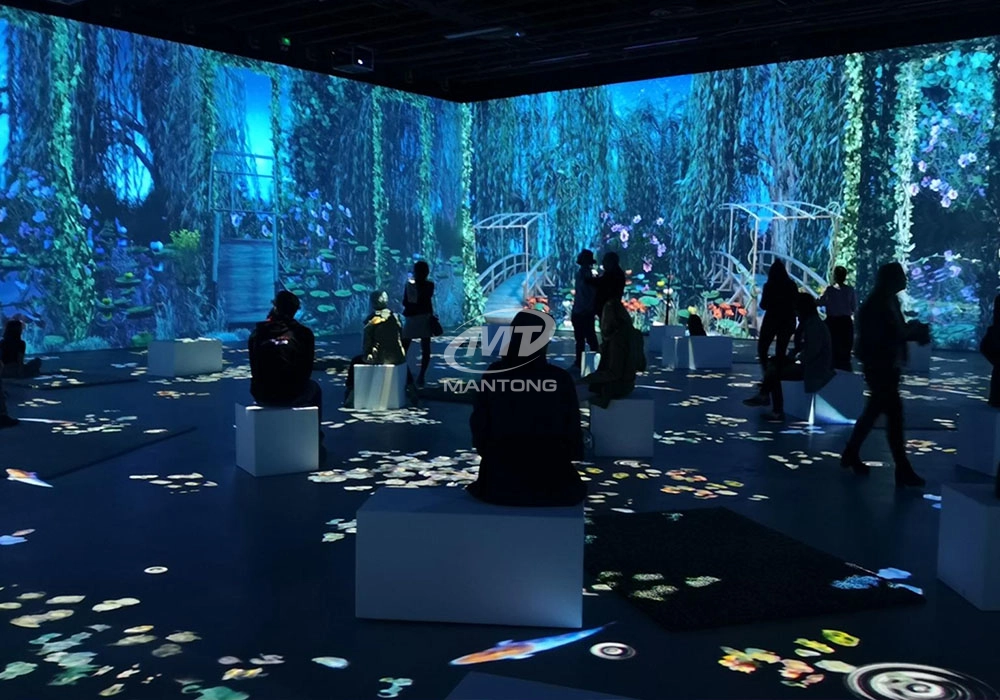 immerisve projection (5)